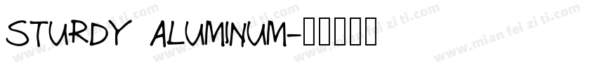 STURDY ALUMINUM字体转换
